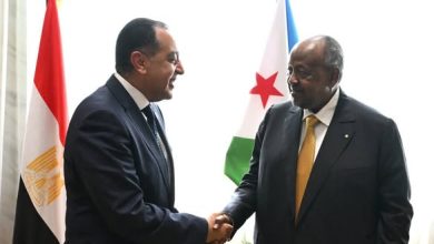 الرئيس الجيبوتي يستقبل الدكتور مصطفى مدبولي