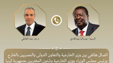 عبد العاطي يتلقى اتصالاً هاتفياً من نظيره الكيني لبحث العلاقات الثنائية والقضايا الإقليمية