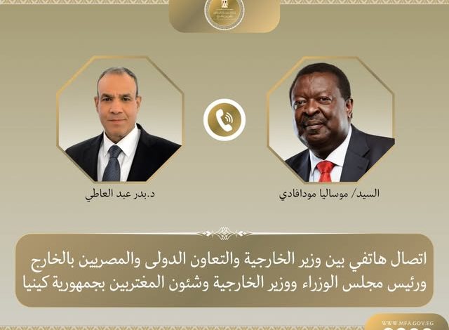 عبد العاطي يتلقى اتصالاً هاتفياً من نظيره الكيني لبحث العلاقات الثنائية والقضايا الإقليمية