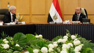 فريد يبحث مع وفد أمريكي تطورات العلاقات التجارية بين البلدين