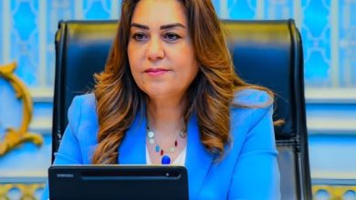 وزارة التنمية المحلية والبيئة تلزم سفينة بوقف شحن مواد كيماوية تسببت في روائح غازية في ميناء الدخيلة بالإسكندرية