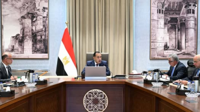 رئيس الوزراء يبحث مقترح إنشاء مركز توزيع لوجيستي عالمي بـ "اقتصادية قناة السويس"