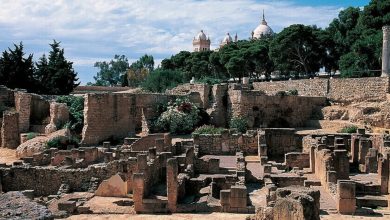 علم الآثار في صميم شراكة استراتيجية بين إيطاليا وتونس في قرطاج