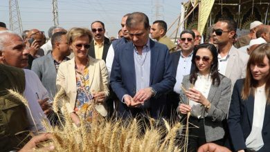 الزراعة طفرة تاريخية ونقلة نوعية في قطاع الزراعة والأمن الغذائي في عهد الرئيس السيسي