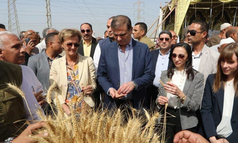 الزراعة طفرة تاريخية ونقلة نوعية في قطاع الزراعة والأمن الغذائي في عهد الرئيس السيسي