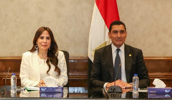 وزيرا "الشباب والرياضة" و"الإسكان" يبحثان سبل التعاون المشترك في عدد من المشروعات والملفات