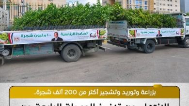 المركز الإعلامي لمجلس الوزراء: زراعة أكثر من 200 ألف شجرة ضمن المرحلة الرابعة لمبادرة "100 مليون شجرة"
