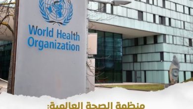 المركز الإعلامي لمجلس الوزراء يرصد إشادة منظمة الصحة العالمية بجاهزية منظومة الترصد الوبائي في مصر