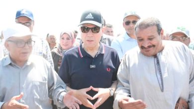 تدشين زراعة أسماك البلطي في حقول الأرز ضمن المشروع القومي للزراعة التكاملية تزامنًا مع ذكرى 30 يونيو