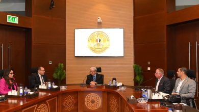 الاستدامة المالية