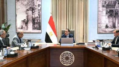 رئيس الوزراء يتابع إجراءات توفير التمويل المطلوب لمشروعات الطاقة الجديدة والمتجددة