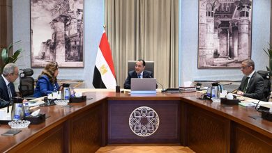 رئيس الوزراء يتابع الموقف التنفيذي للمشروعات التنموية والخدمية في محافظة الجيزة
