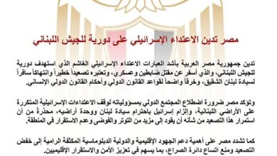 مصر تدين الاعتداء الإسرائيلي على دورية للجيش اللبناني