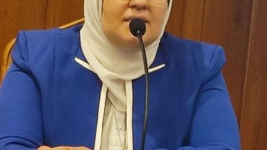 منذ 14 قرنًا: كيف دعا الإسلام إلى تحقيق التنمية المستدامة