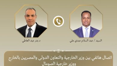 وزير الخارجية ونظيره الصومالي يبحثان تطورات الأوضاع بالصومال
