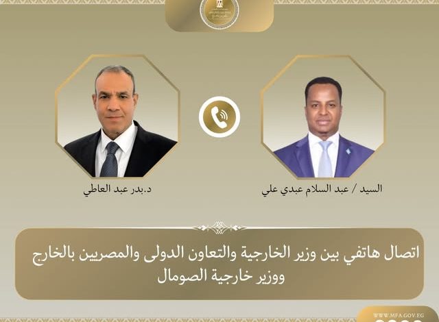 وزير الخارجية ونظيره الصومالي يبحثان تطورات الأوضاع بالصومال