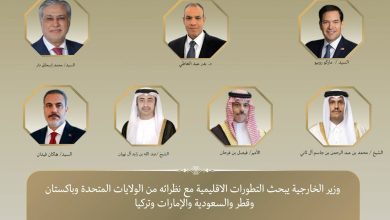 وزير الخارجية يبحث التطورات الإقليمية مع نظرائه من الولايات المتحدة وباكستان وقطر والسعودية والإمارات وتركيا