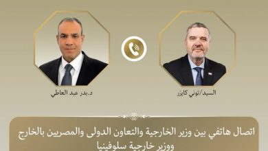وزير الخارجية يبحث مع نظيره السلوفيني سبل تطوير العلاقات الثنائية
