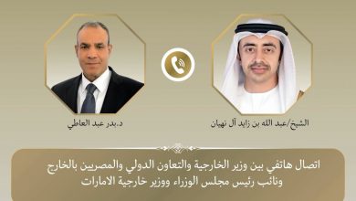 وزير الخارجية يبحث هاتفياً مع نظيره الإماراتي مستجدات الأوضاع الإقليمية