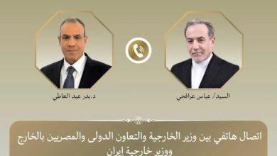وزيرا الخارجية المصري والإيراني يبحثان التطورات الإقليمية