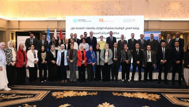 التضامن الاجتماعى تشارك بختام ورشة العمل الوطنية لمكافحة الجرائم السيبرانية التضامن الاجتماعى تشارك بختام ورشة العمل الوطنية لمكافحة الجرائم السيبرانية الموجهة ضد الفتيات والنساء