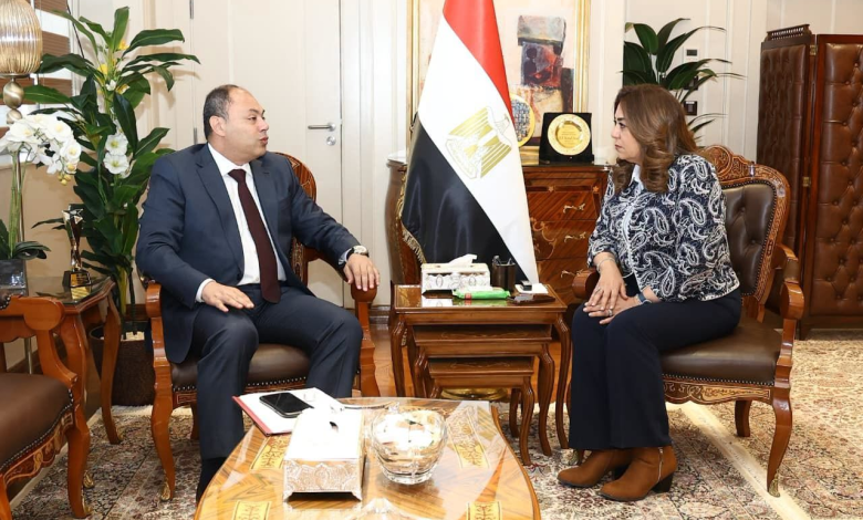 وزيرة التنمية المحلية والبيئة تتابع مع رئيس هيئة تنمية الصعيد المشروعات التنموية الجارية
