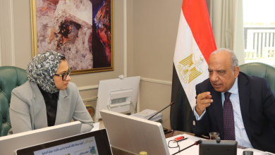 وزير الكهرباء يبحث مع محافظ الوادي الجديد سبل دعم الاعتماد على الطاقات المتجددة