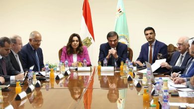 اجتماع تنسيقي لوزراء الزراعة والتنمية المحلية والصناعة بشأن «القرية المنتجة»