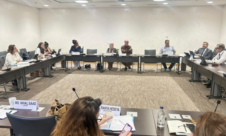 جامعة الدول العربية والأمم المتحدة تواصلان أعمال اللجنة الاجتماعية ضمن الاجتماع السابع عشر للتعاون العام بـجنيف – 28 يوليو 2026