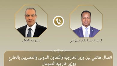 وزير الخارجية يبحث مع نظيره الصومالي العلاقات الثنائية وتطورات الأوضاع في القرن الأفريقي