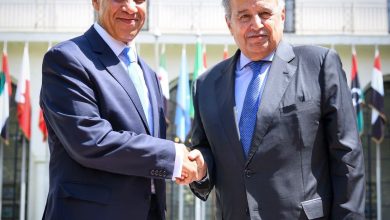 وزير الخارجية يلتقي السيد نبيل فهمي عقب توليه مهام منصبه أميناً عاماً لجامعة الدول العربية