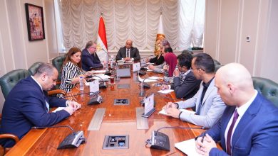 وزير العمل يبحث مع وفد "العمل الدولية" خارطة الطريق والفترة الزمنية للتعاون في إعداد مشروع قانون العمالة المنزلية