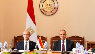 وزيرا الخارجية والاستثمار يبحثان تنسيق السياسات وتكامل الجهود لدعم استثمارات الشركات المصرية في إفريقيا