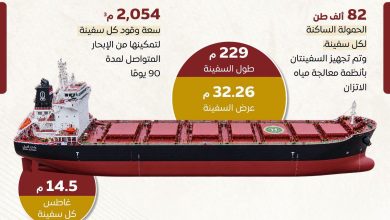 المركز الإعلامي لمجلس الوزراء يستعرض مواصفات سفينتي الصب الجاف "وادي النيل" و"وادي القمر"