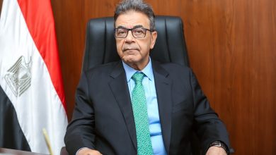 نقابة الأطباء البيطريين تنظم ورشة دولية لبحث الاستعداد للأوبئة الحيوانية "الإيبولا وهانتا"
