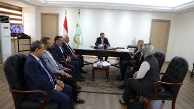 تصدير الدواجن المصرية