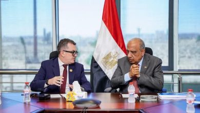 وزيرا التخطيط والكهرباء يبحثان خطة الاستثمارات العامة