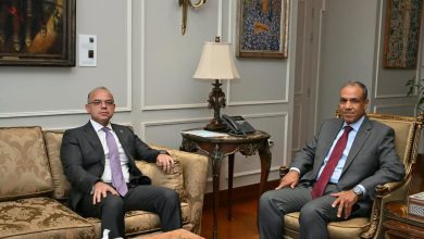 وزيرا الخارجية والاستثمار يبحثان تعزيز الترويج للاقتصاد المصري وجذب الاستثمارات وفتح أسواق جديدة للصادرات
