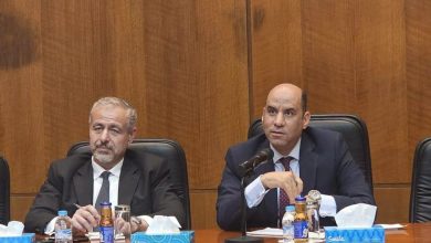 التوجيهات الرئاسية تضع رعاية المصريين بالخارج وحماية حقوقهم في مقدمة الأولويات