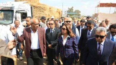 وزيرة التنمية المحلية والبيئة ومحافظ الدقهلية يتفقدان موقع تجميع قش الأرز بمركز بلقاس
