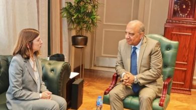 عصمت يستقبل سفيرة قبرص لدى القاهرة لبحث سبل دعم وتعزيز التعاون والشراكة وزيادة الاستثمارات فى مجالات الكهرباء والطاقات المتجددة