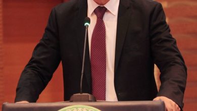 جامعة الدول العربية تؤكد من تونس ضرورة توفير الحماية للطفل الفلسطيني وصون حقه في التعليم