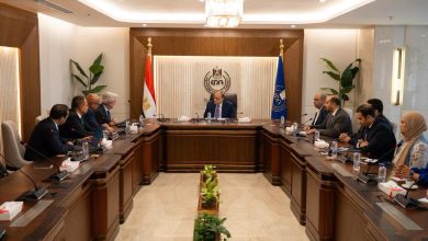 رئيس هيئة الدواء المصرية يبحث مع ممثلي شركة آي كيو فيا تعزيز التعاون في التحول الرقمي والذكاء الاصطناعي والبيانات الدوائية