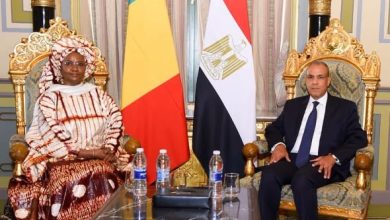 عبد العاطي يلتقي وزيرة ريادة الأعمال والتوظيف والتدريب الفني بجمهورية مالي ويبحثان سبل تعزيز التعاون الثنائي