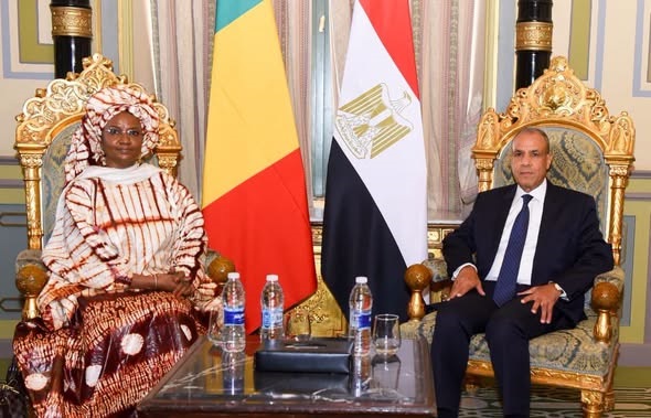 عبد العاطي يلتقي وزيرة ريادة الأعمال والتوظيف والتدريب الفني بجمهورية مالي ويبحثان سبل تعزيز التعاون الثنائي