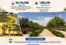 وزارة الإسكان تواصل تنفيذ خطة زيادة معدلات التشجير ورفع كفاءة المسطحات الخضراء بالمدن الجديدة