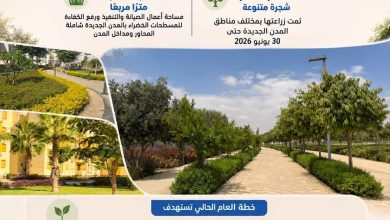 وزارة الإسكان تواصل تنفيذ خطة زيادة معدلات التشجير ورفع كفاءة المسطحات الخضراء بالمدن الجديدة