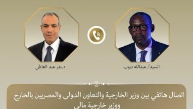 وزير الخارجية ونظيره المالي يبحثان سبل تعزيز العلاقات الثنائية وتطورات الأوضاع في منطقة الساحل