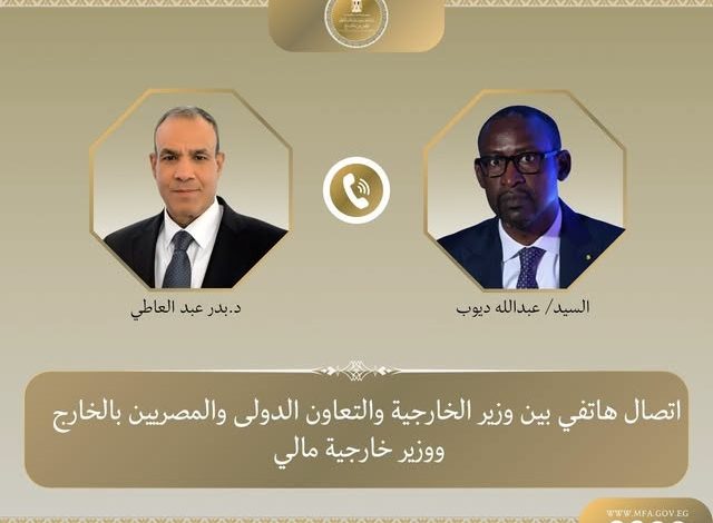 وزير الخارجية ونظيره المالي يبحثان سبل تعزيز العلاقات الثنائية وتطورات الأوضاع في منطقة الساحل