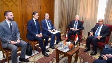 وزير الخارجية يبحث مع نظيره اللبناني سبل دعم مصر لسيادة لبنان ومؤسساته الوطنية
